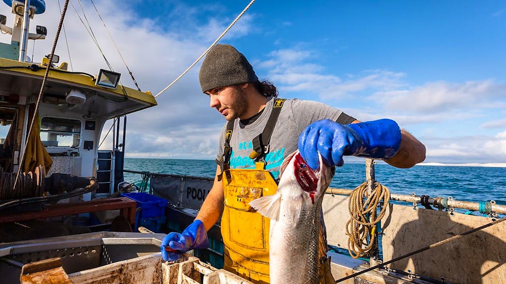L'accès des pêcheurs européens aux eaux britanniques, un sujet hypersensible pour certains Etats membres, fait partie des trois points qui bloquent les discussions depuis mars (image symbolique).