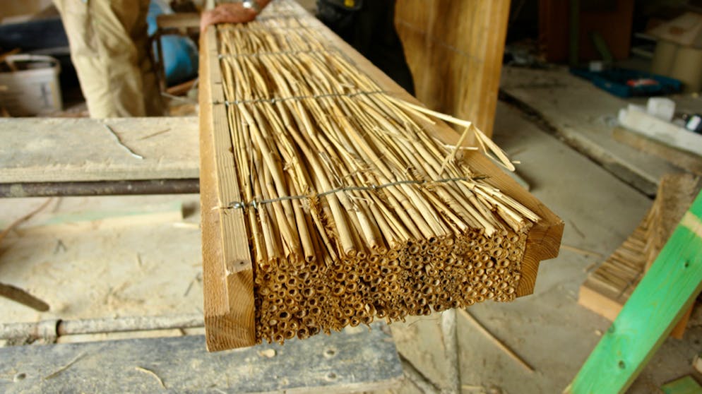 Popcorn – und vier weitere Baustoffe der Zukunft