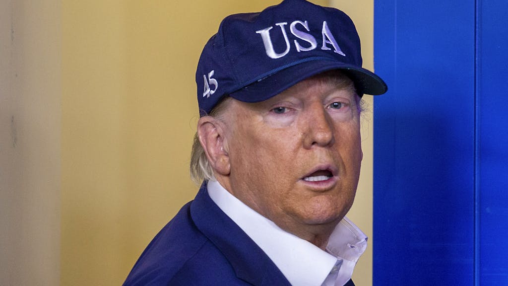 Kolumne am Mittag. Dietmar Hopp kaufen? Vergiss es, Trump