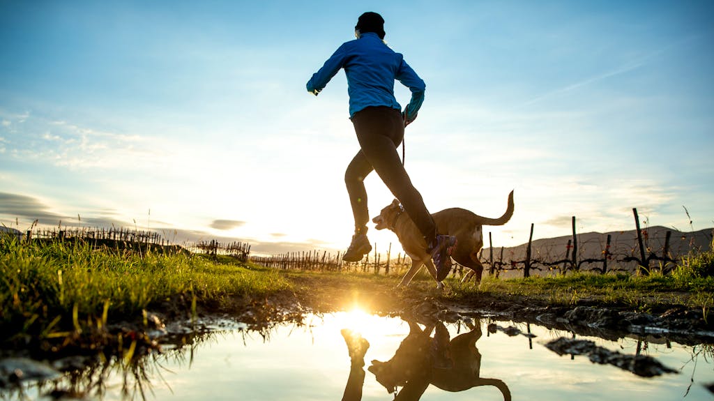 Nochmals kurz raus zum Joggen? Die besten Tipps von drei Profis
