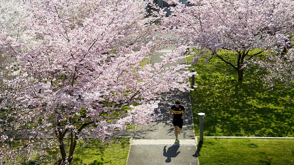 Le printemps commence demain à exactement 4h50.