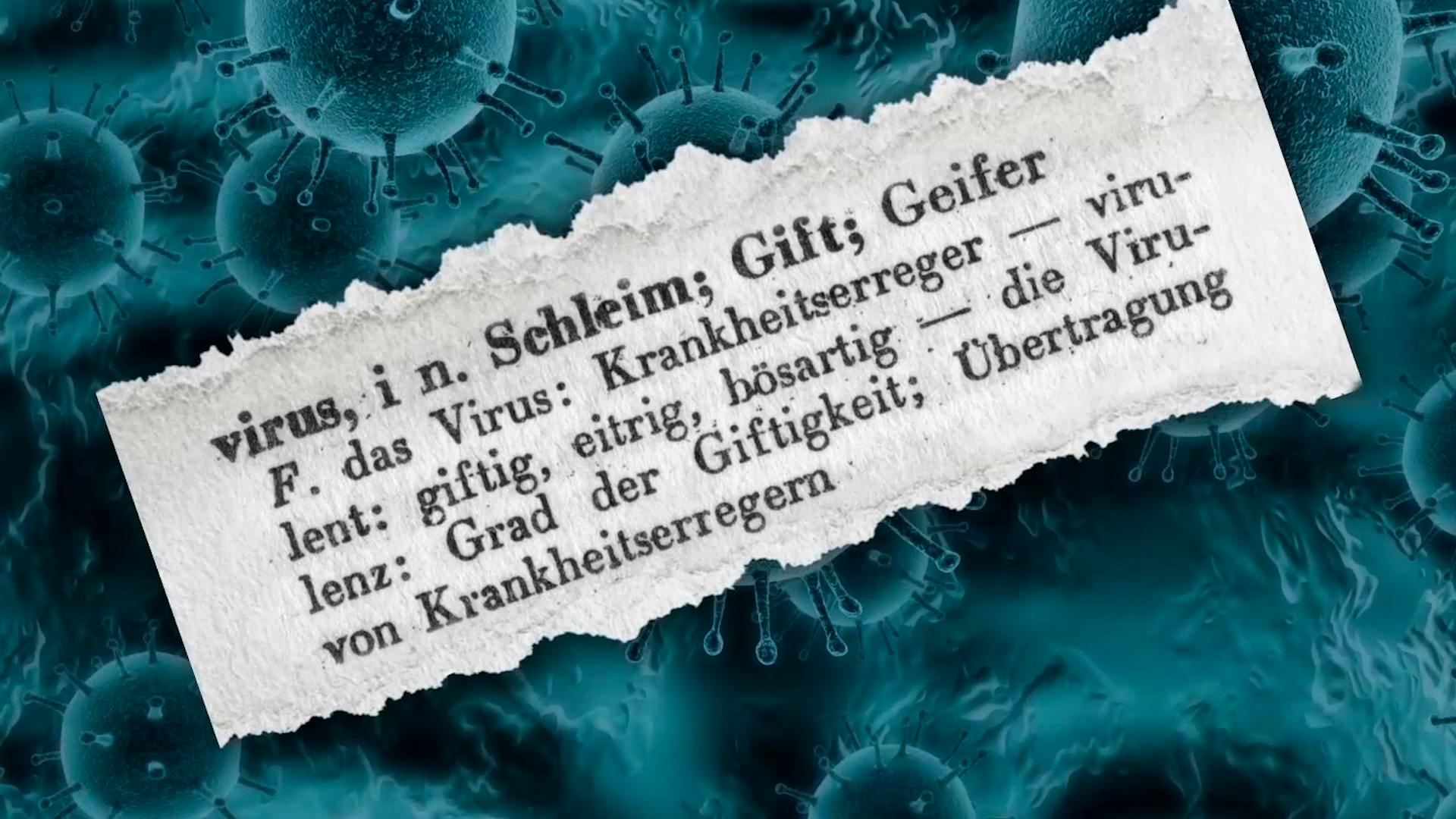 Lebewesen oder infektiöser Partikel. Das Coronavirus betrifft uns alle – Zeit für Basiswissen