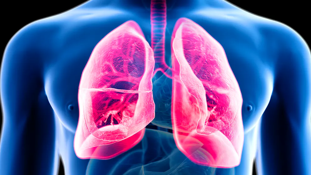 SARS-CoV-2 hat im Besonderen die Lunge im Visier (Symbolbild).