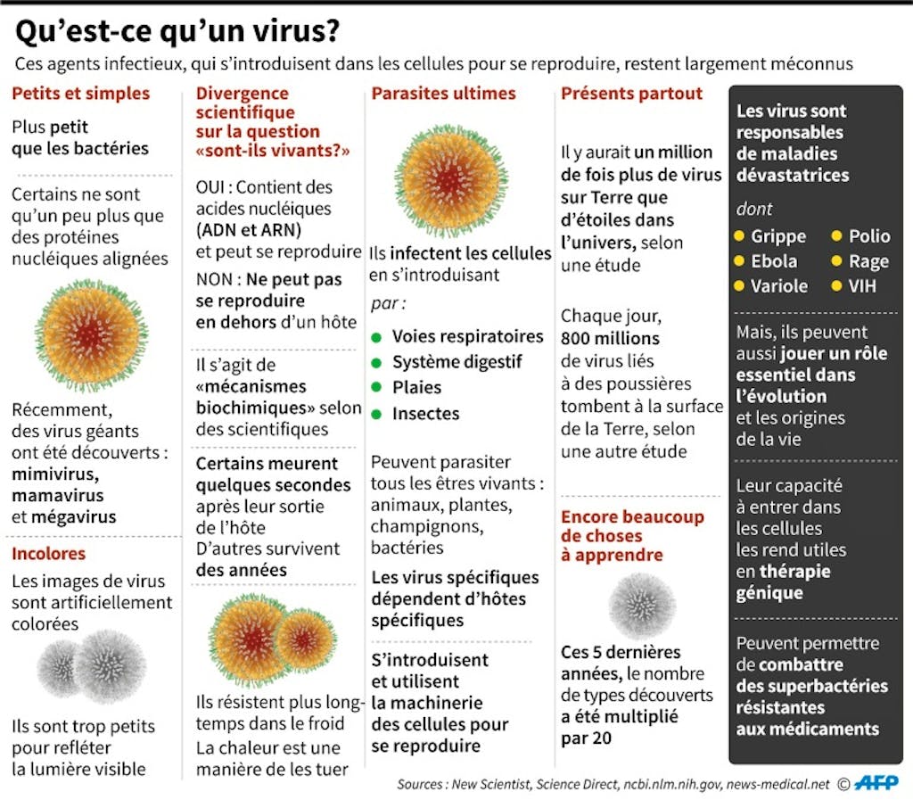 Les symptômes du coronavirus apparaissent au bout de 5 jours