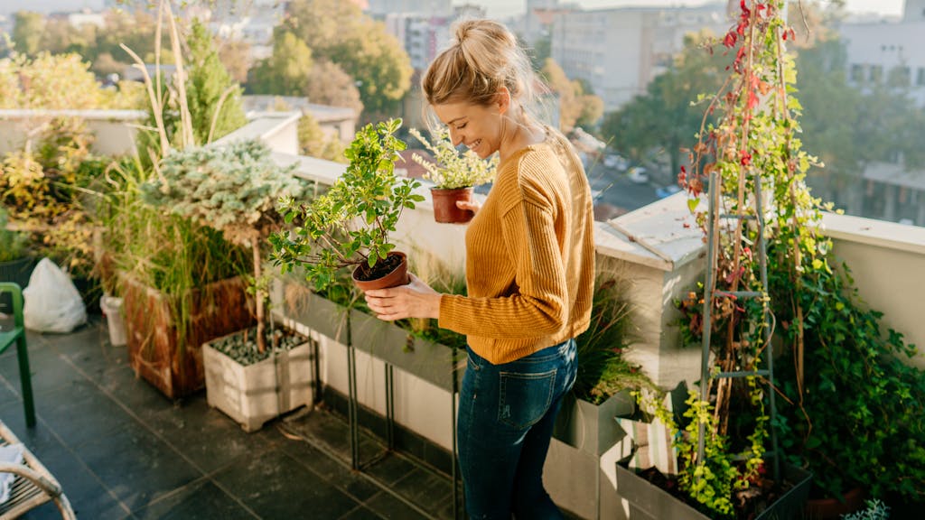 Grüner Daumen. Gartenarbeit – was ist möglich während der Corona-Krise?