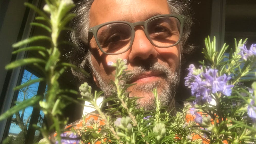 In diesen schwierigen Tagen sind dem Kolumnisten seine Pflanzen ganz wichtig geworden. Er freut sich, wie sie täglich sichtbar wachsen und wie einiges geradezu wartet, nach dem letzten Frost zu spriessen.