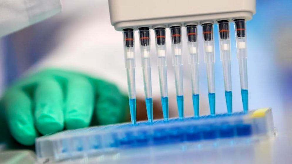 Das Coronavirus ist am Ende der Erkrankung nur zeitweise nachweisbar. Daher kann das Testergebnis erst negativ und dann wieder positiv ausfallen.