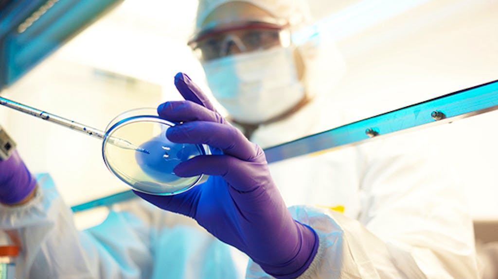 Pandemia. COVID-19: sette morti tra Ticino e Grigioni, cure intense sempre piene