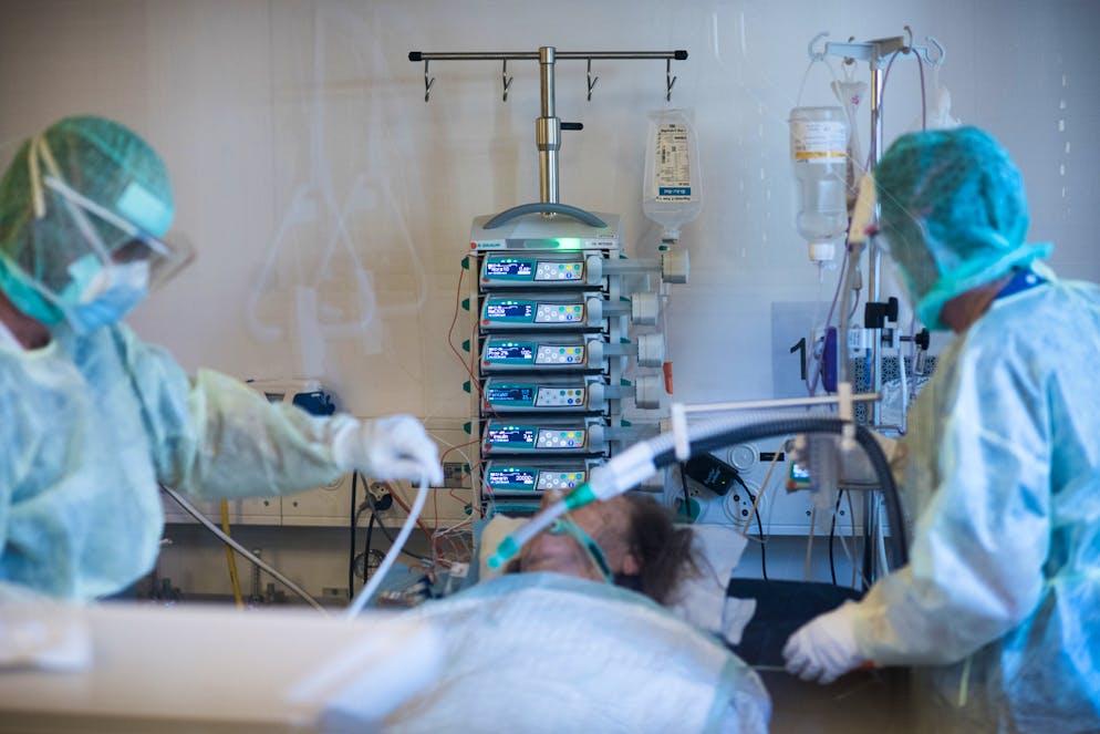 Immagine d'illustrazione