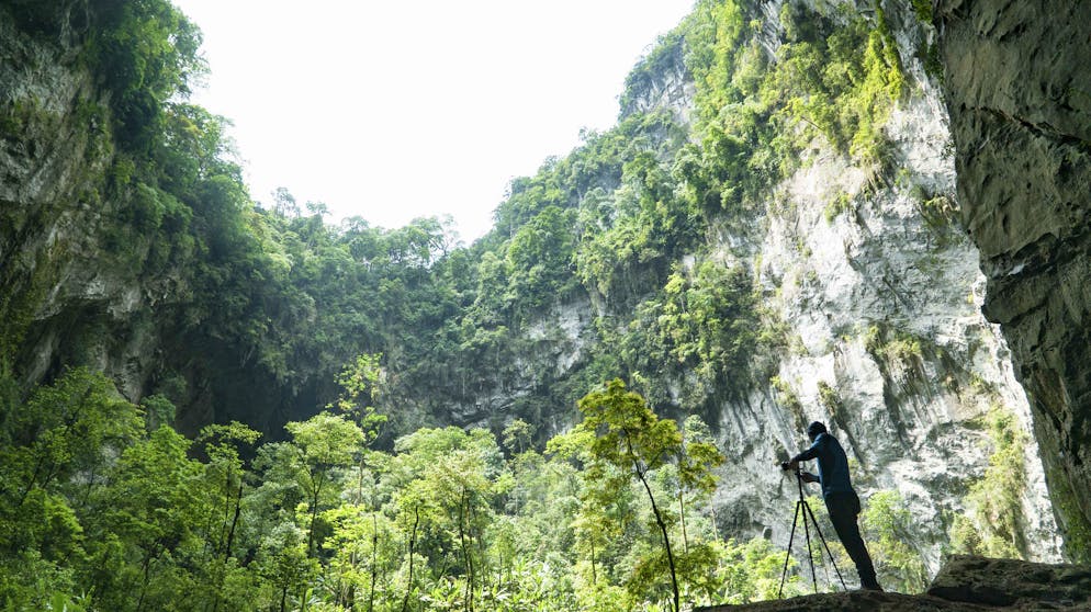 Son Doong: Das ist die grösste Höhle der Welt. In den Höhlen wachsen teilweise Wälder, Dutzende Tier- und Pflanzenarten haben hier eine Heimat gefunden.