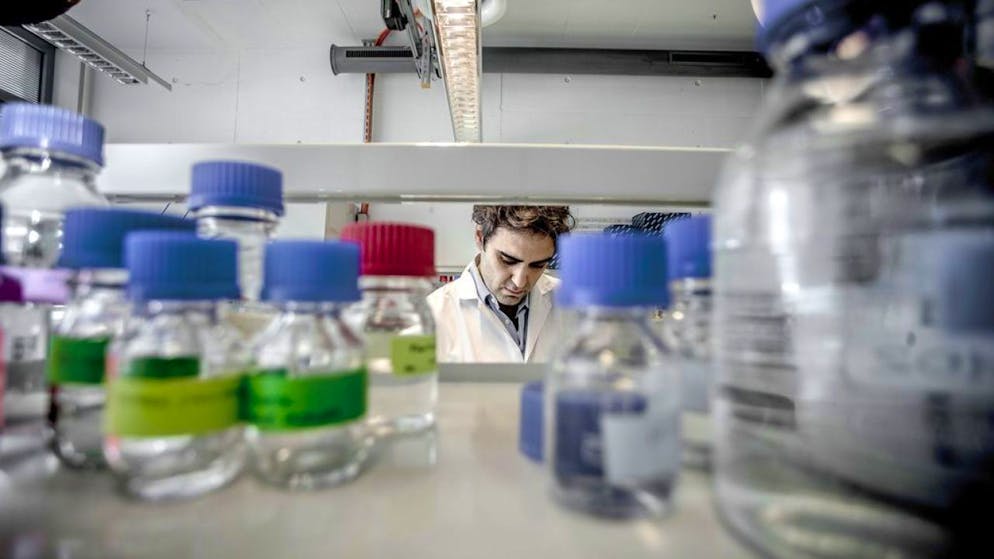 Ein Krebsforscher im Laboratorium des Krebsforschungsinstituts (IOR) in Bellinzona. Österreichische Kollegen haben herausgefunden, dass bestimmte im Menschen vorkommende Proteine das Krebswachstum hemmen. Die therapeutische Anwendung dieser Einsicht liegt aber noch weit entfernt. (Archivbild)