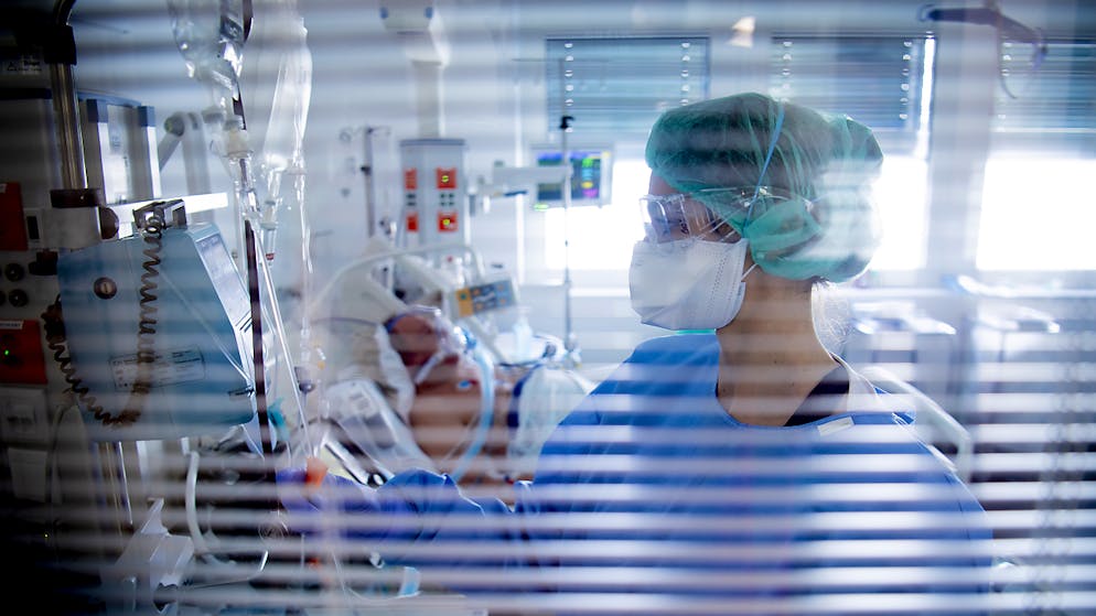 Immagine d'illustrazione