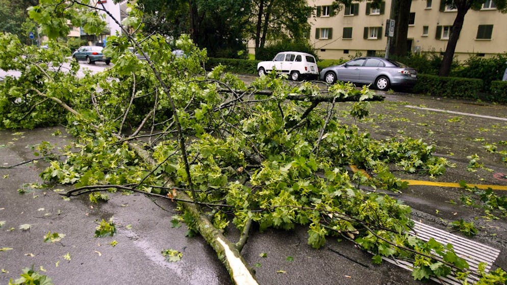 2019 gab es im Kanton Zürich weniger Schäden als im Jahr zuvor. (Archivbild)