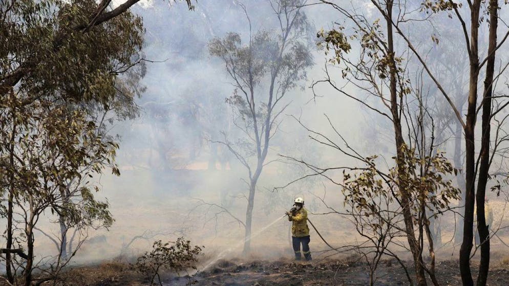 Die Buschbrände von Ende 2019/Anfang 2020 in Australien haben Hunderte von Pflanzen- und wirbellosen Tierarten an den Rand der Ausrottung gebracht. (Archivbild)