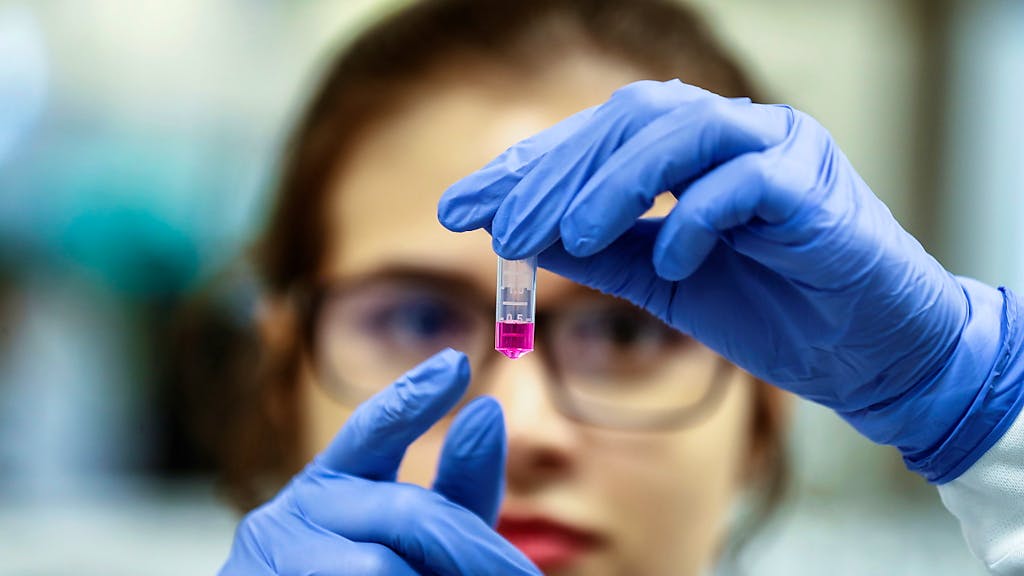 Epidemia. Australia: al via test di vaccini sui furetti contro il COVID-19