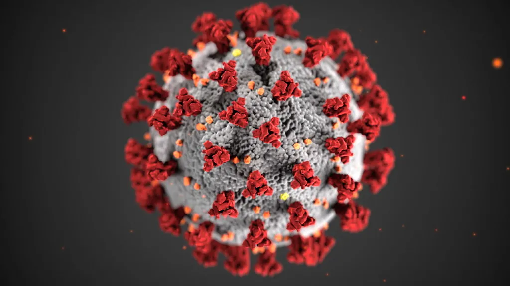 Coronavirus – Schweiz. Corona-Zahlen in der Schweiz steigen weiter