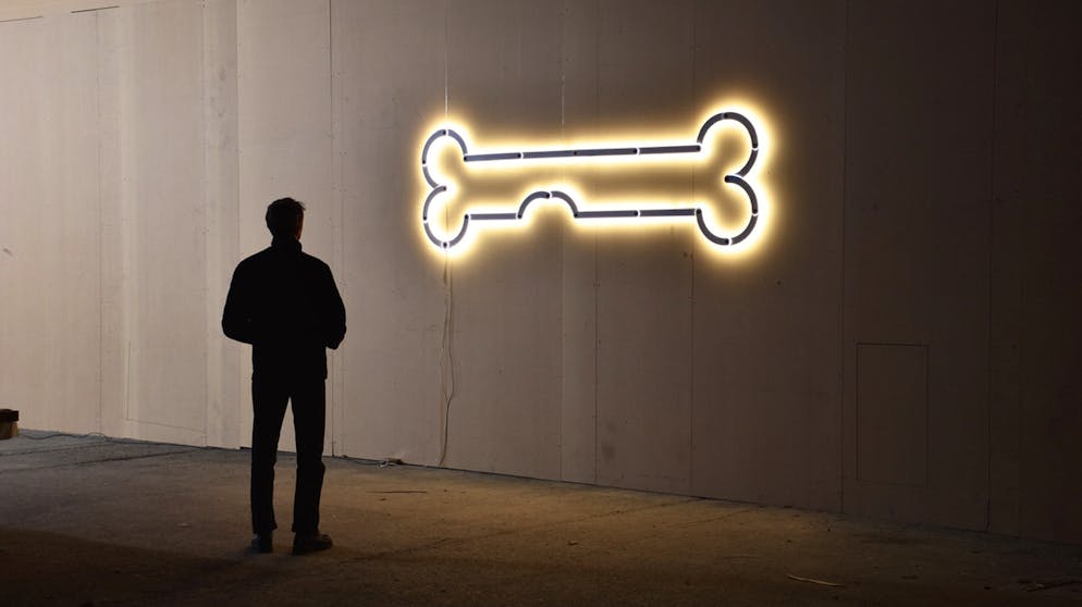 «Phasma» ist eine vom Designbüro AATB entwickelte Lampe. «Lumpi’s Dogbone» ist eine von unzähligen Formen, zu der die Leiterplatten kombiniert werden können.