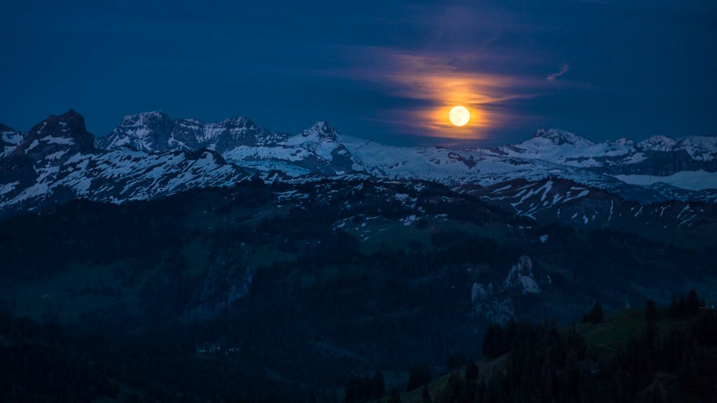 Kolumne. Wie wir uns auf dem Gross Mythen als Störenfriede entpuppten