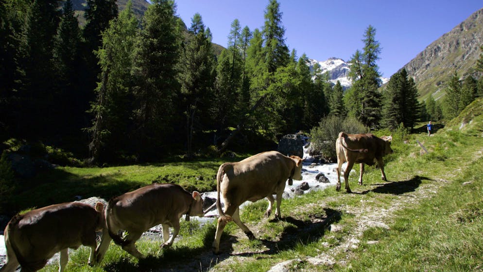 Der Parc Ela ist schweizweit der grösste Regionale Naturpark und liegt im Kanton Graubünden. (Archivbild)