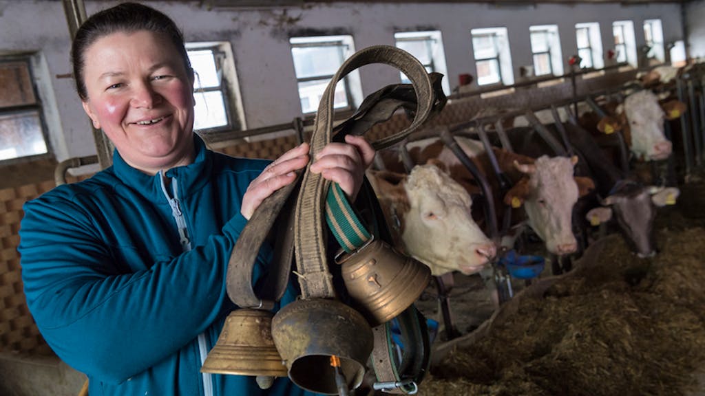 Deutschland. Erbitterter Kuhglocken-Streit — Gericht reist zu Hörprobe an