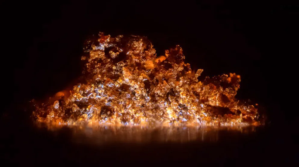 Non avete ancora visto gli alimenti così!. Ciò che termina un pasto visto al microscopio: polvere di caffè vista da molto vicino.