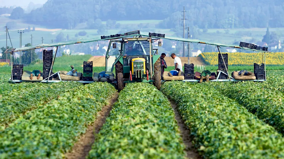 Il lavoro non manca mai nei campi.