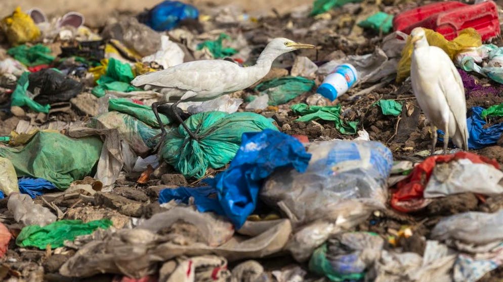 Vermüllter Strand im Senegal. Lausanner Ingenieure haben sich von Proteinen inspirieren lassen, um die Plastikverschmutzung einzudämmen. (Archivbild)