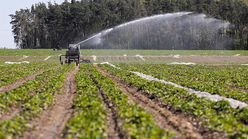 Selon les 30 organisations, la crise du coronavirus montre que le système de production et de distribution alimentaire n'est pas résilient (archives).