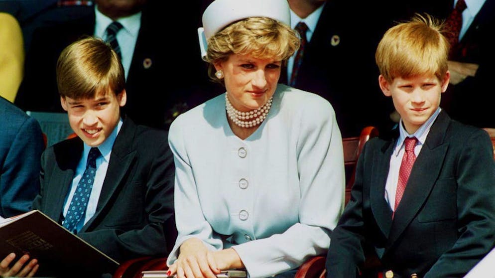 Harry e WIlliam accanto alla madre, la principessa Diana.