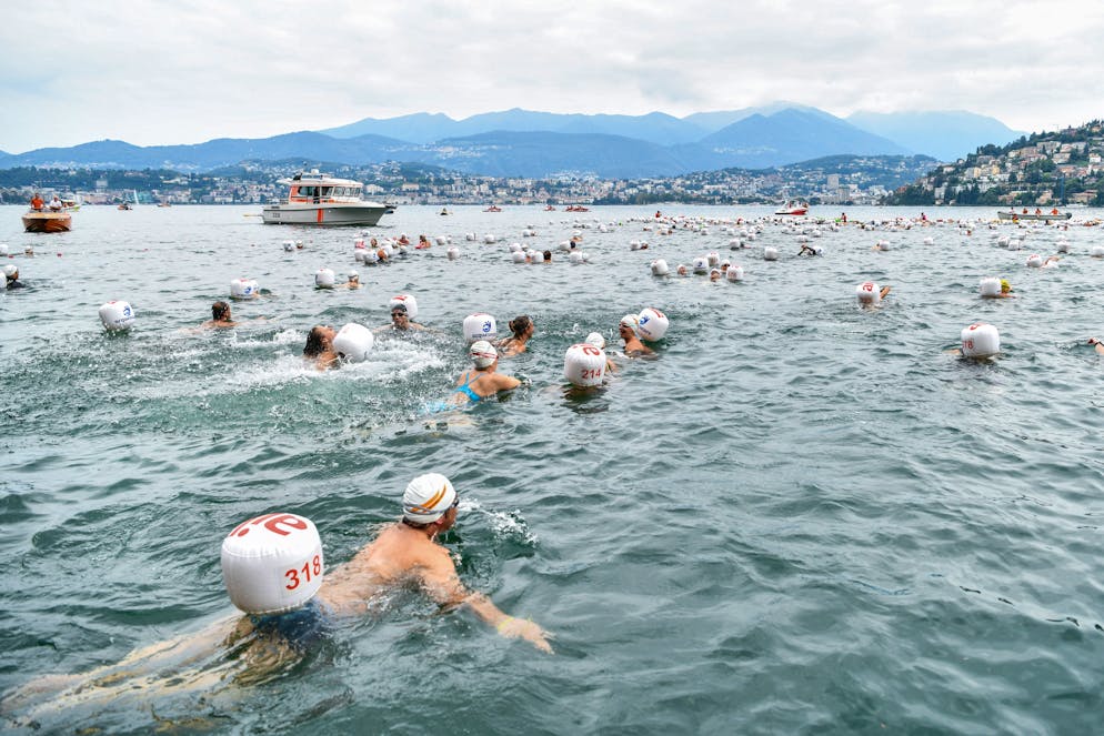 Immagine d'illustrazione