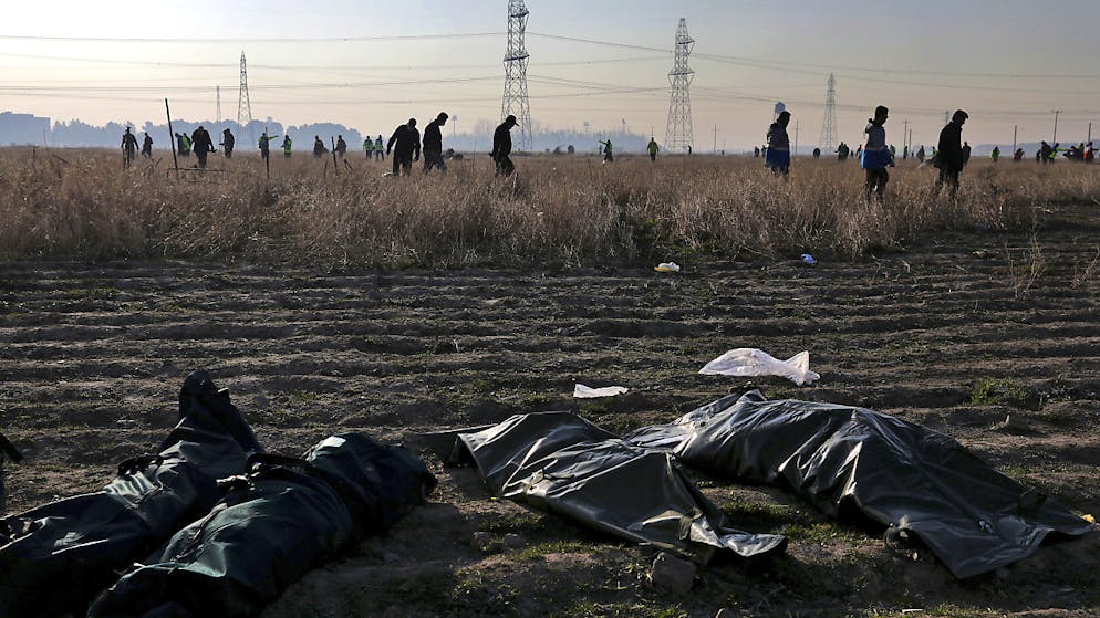 I resti dell'aereo ucraino abbattuto per errore.