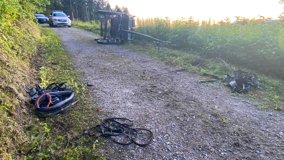 Una carrozza trainata da quattro cavalli con sette persone si è rovesciata ieri sera una strada forestale vicino a Brittnau (AG), nei pressi di Zofingen. Cinque di loro sono stati portati in ospedale.