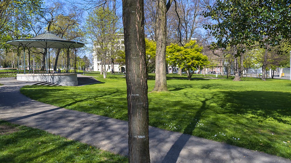 L'uomo è stato aggredito in quest'area.