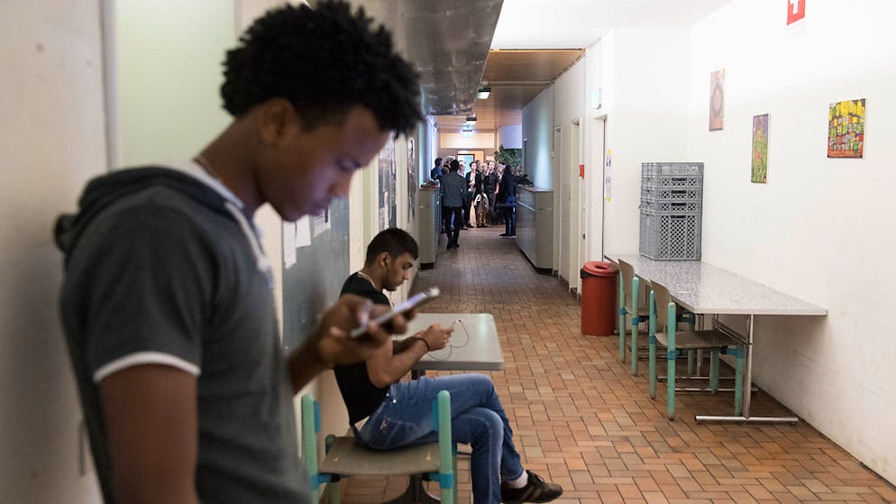 Immagine d'illustrazione