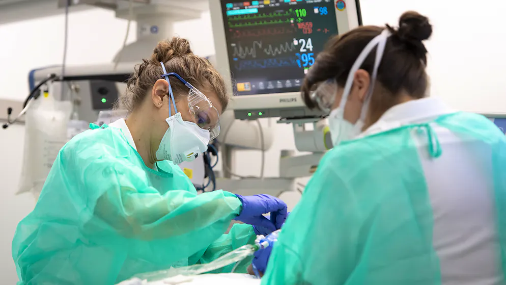 Immagine d'illustrazione