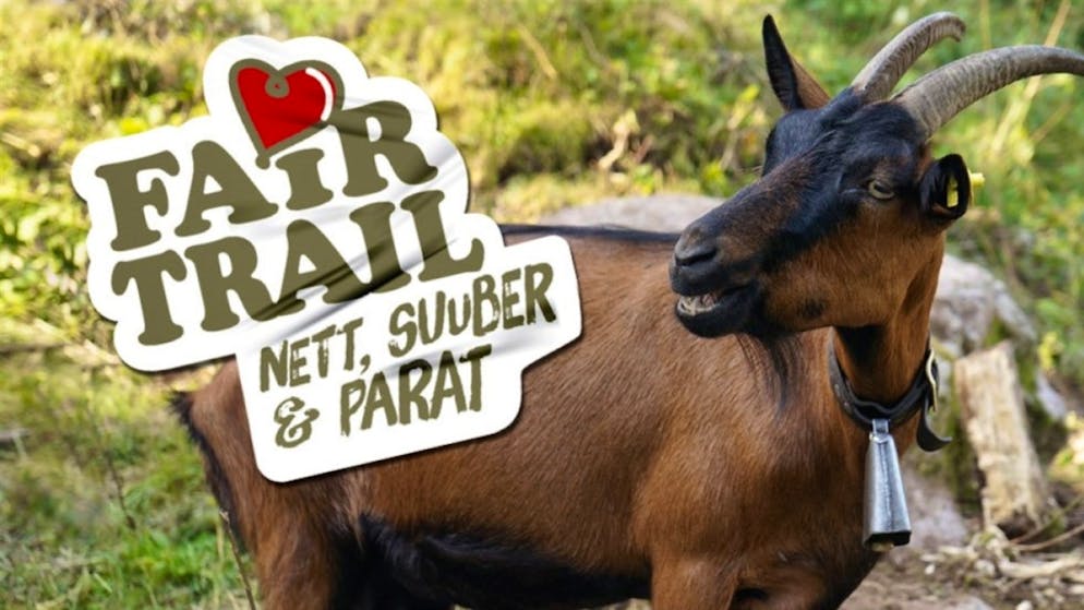 Si ricorre all'umorismo grigionese per promuovere una coesistenza pacifica sui sentieri.