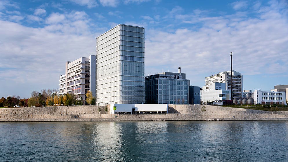 Il campus ha una superficie enorme.