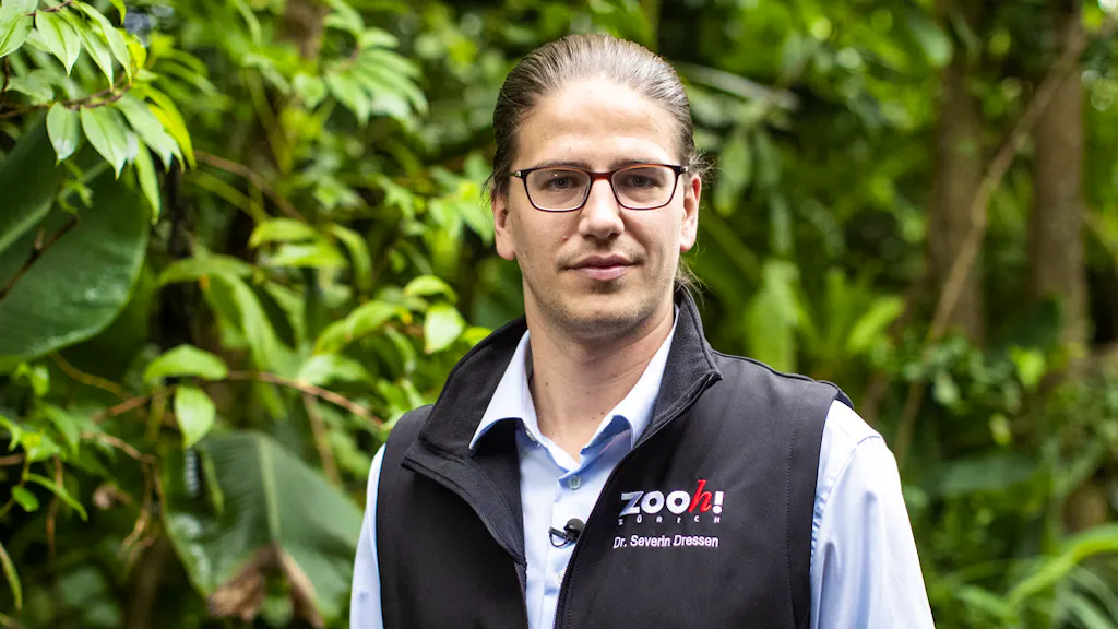 Zoodirektor im Interview. «Wir werden nie wissen, warum der Tiger so reagiert hat»