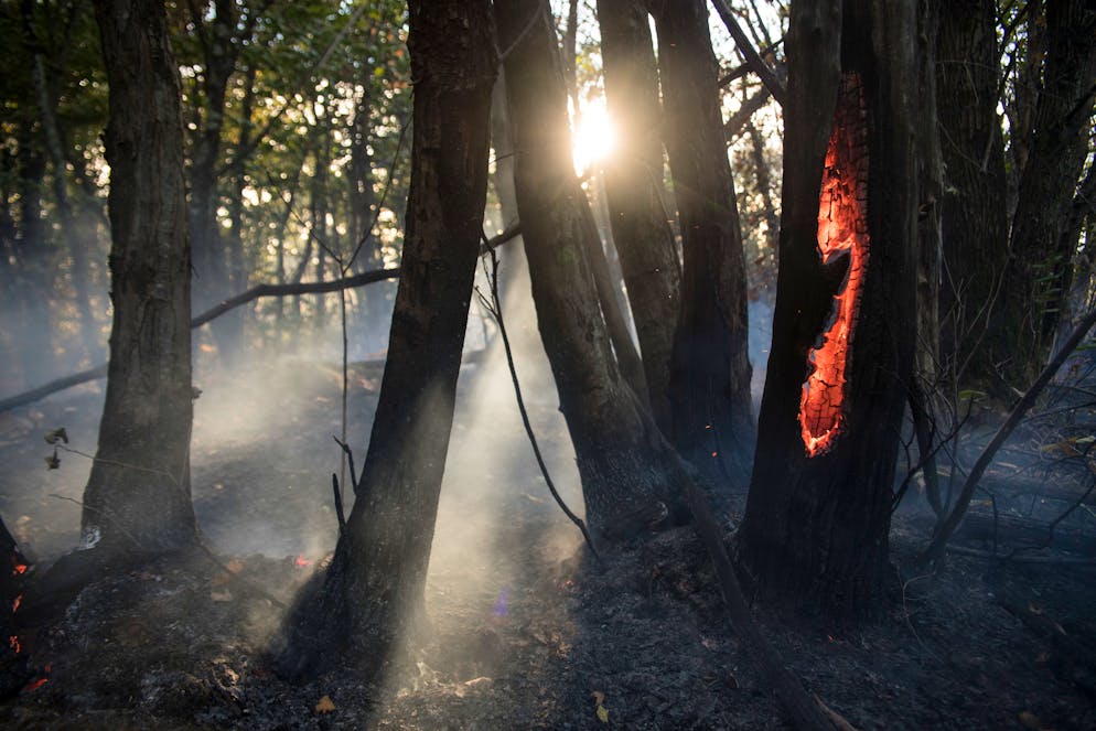 Immagine d'illustrazione