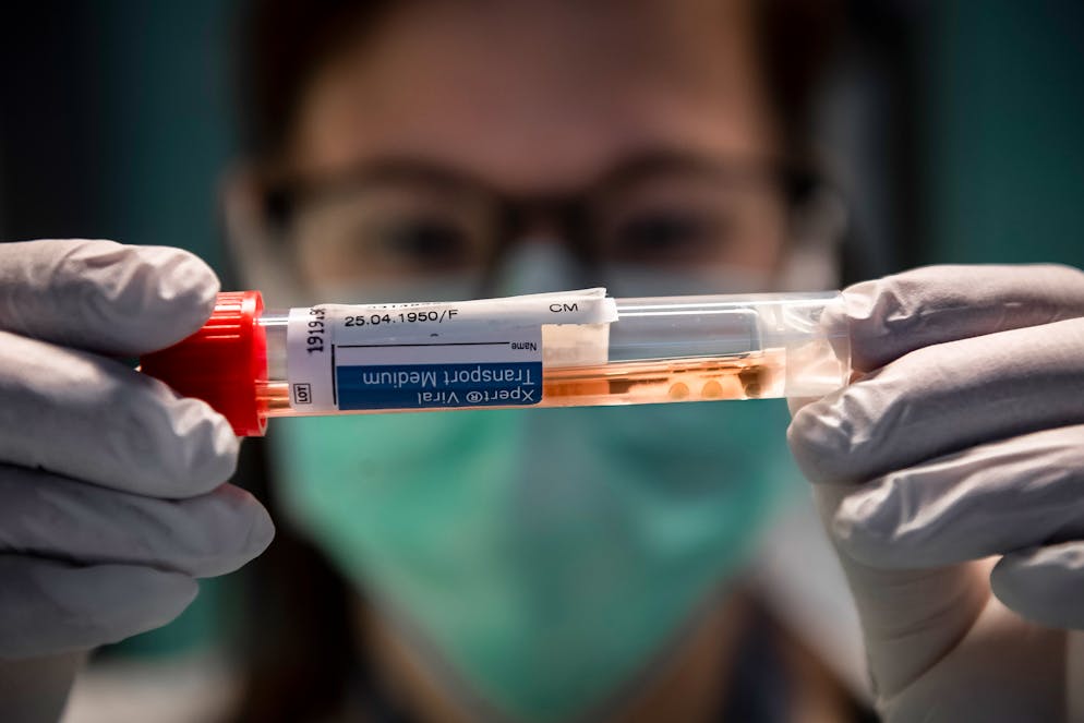 Immagine d'illustrazione