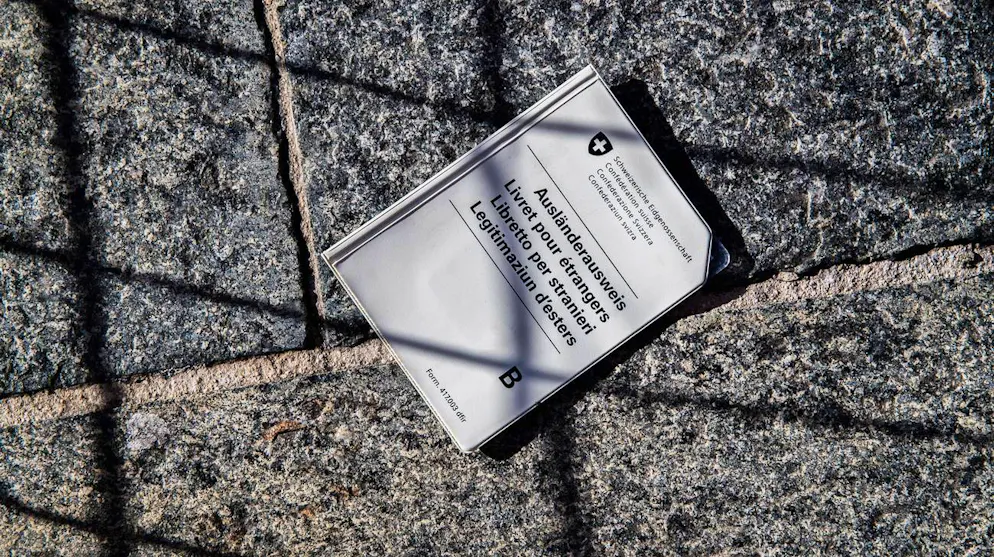 Immagine d'illustrazione