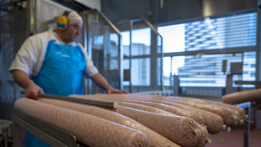 Bell vuole battere nuove strade.