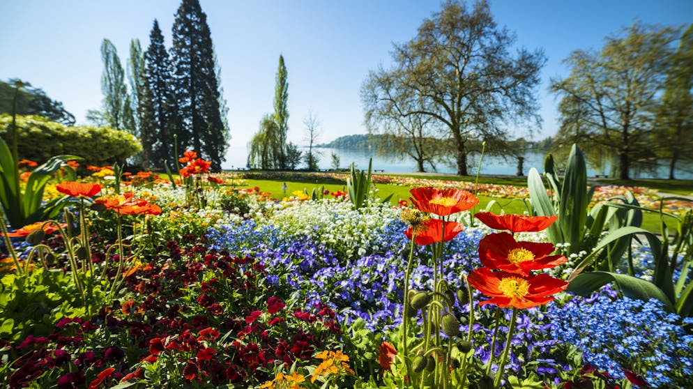 Blumeninsel Mainau.