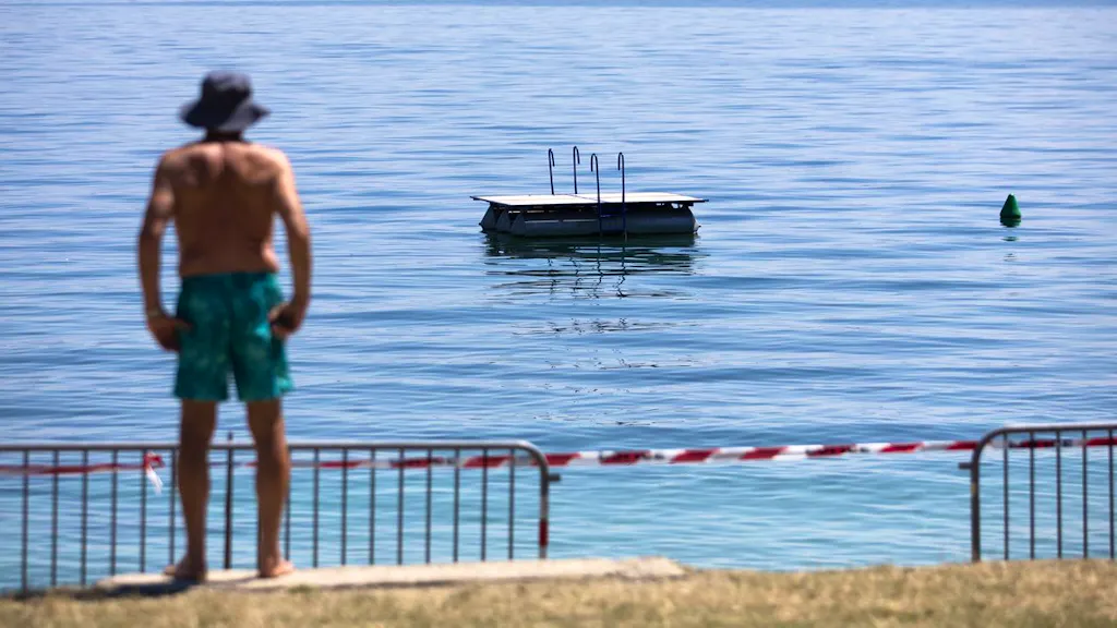 Dangerous cyanobacteria. What you need to know about blue-green algae