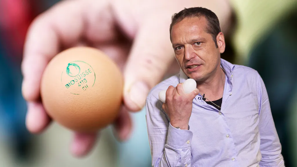 Erklärt. Das Schweizer Bio-Ei kommt vom Hybridhuhn – Und was heisst das jetzt?
