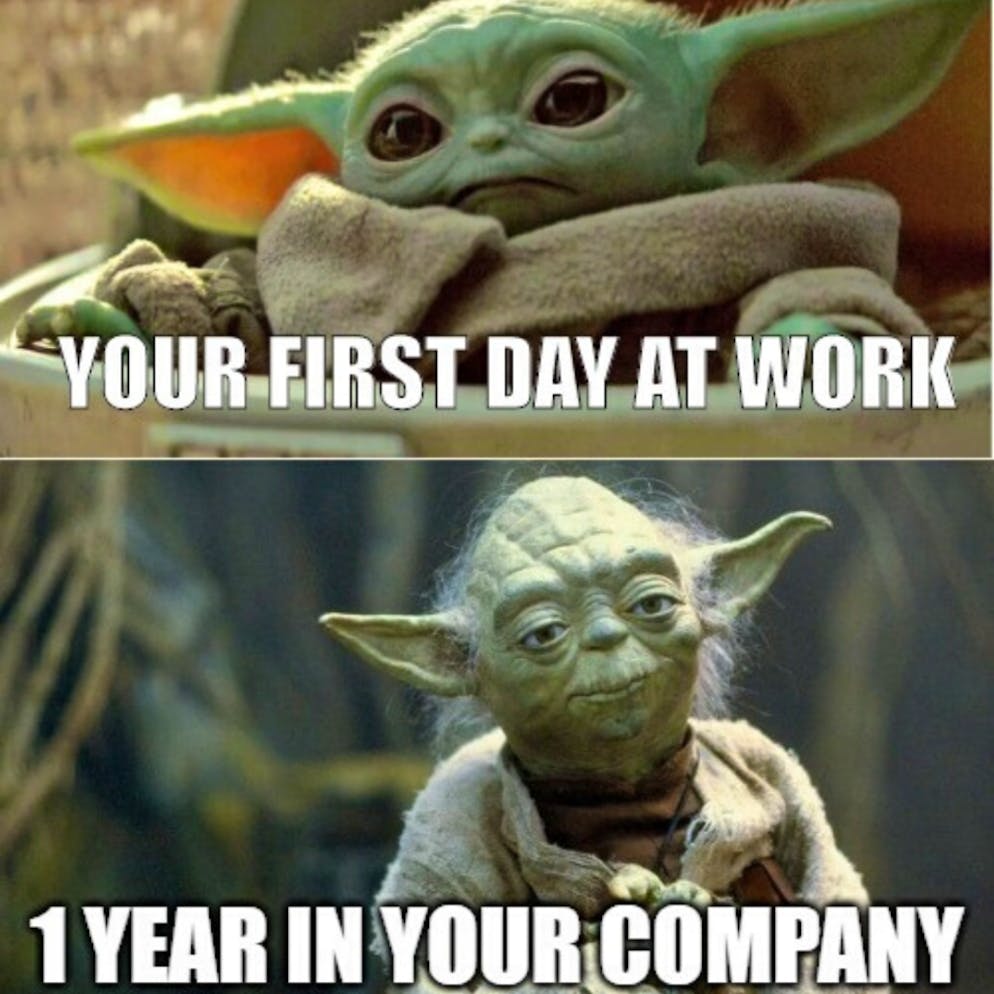 Zum Start der 2 Staffel Die besten Baby Yoda  Memes 