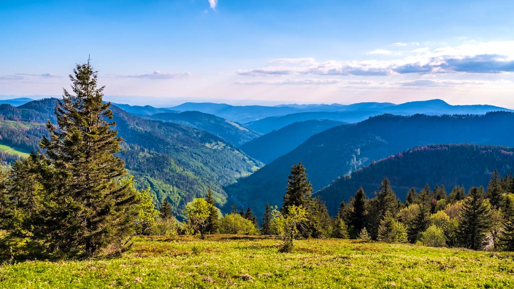 Herrliche Fernsicht vom Feldberg auf den Schwarzwald.