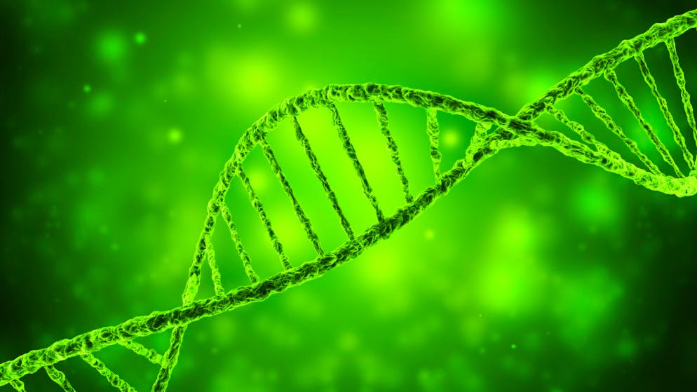 Illustration eines DNA-Strangs: Neandertaler-Gene könnten einer Studie zufolge verantwortlich für einen schweren Krankheitsverlauf bei einer Covid-19-Infektion sein.