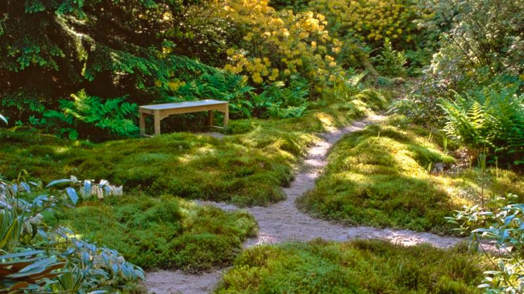Kräuter und Moos so bleibt der Garten im Herbst grün