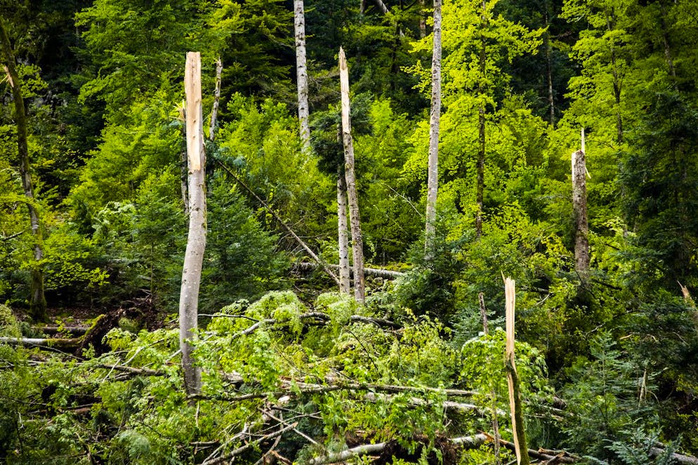 Une vue aerienne sur des arbres casses dans une foret au bord du Doubs suite aux fortes precipitations des derniers jours le mercredi 14 juillet 2021 a Saint-Ursanne dans le canton du Jura. (KEYSTONE/Jean-Christophe Bott)
